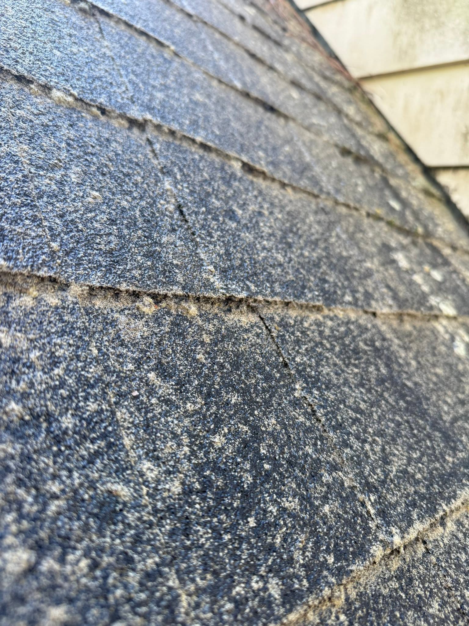 Black streaks being removed from a shingle roof