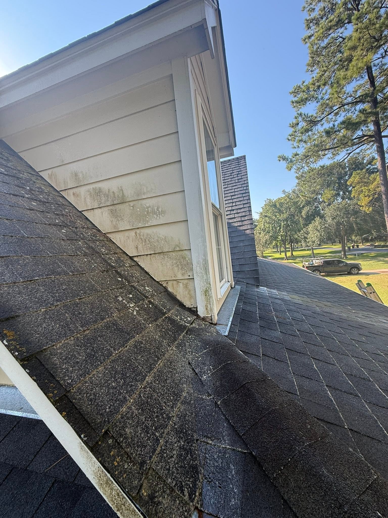 House exterior soft washing